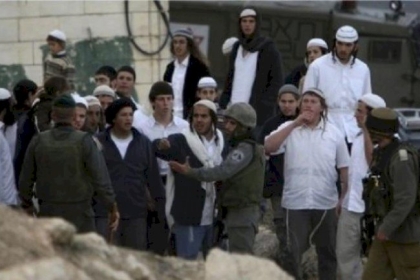 مستوطنون ينفذون اعتداءات في سبسطية شمال غرب نابلس