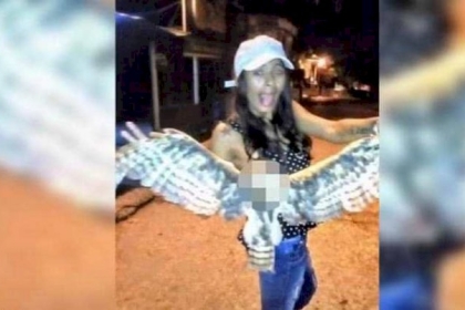 الواقعة المخيفة.. قطعت رأس بومة فانتهت حياتها بعد 6 أشهر