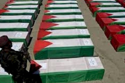 خلال العام 2020: 48 شهيدا بينهم شهيدتان و8 أطفال