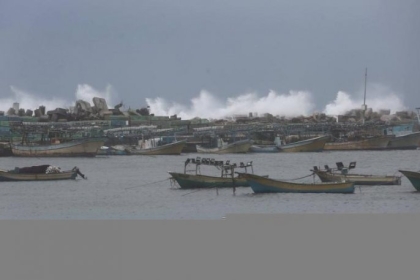 الزراعة بغزة تنفي إبلاغها رسمياً بإغلاق البحر بشكل كامل