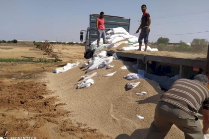 الزراعة في غزة تتلف كمية أعلاف مخالفة للمواصفات