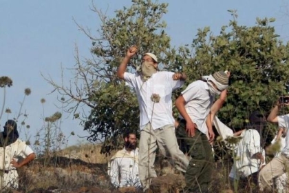 مستوطنون يعتدون على المزارعين في جالود جنوب نابلس
