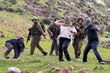 نابلس: مستوطنون يهاجمون نسوة يقطفن الزيتون والاحتلال يحتجز عددا من المزارعين في قريوت