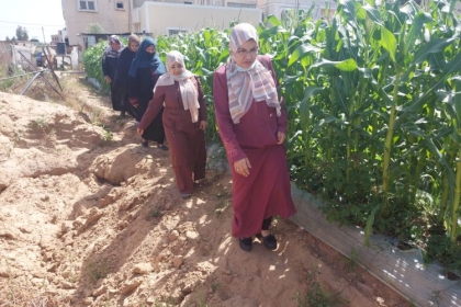 مجلس المرأة بمحافظة الشمال يكرم المزارعات