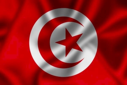 تونس تُجري اتصالاتها لعقد جلسة الأمن غدًا بشأن الأوضاع بفلسطين