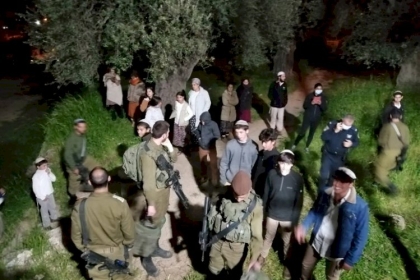 مستوطنون يحرقون محاصيل زراعية وكهفا في مسافر يطا جنوب الخليل