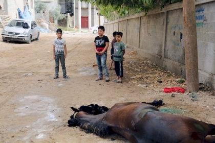 صرف الدفعة النقدية الخامسة للأطفال المتضررين من الأزمات في قطاع غزة "الأربعاء"