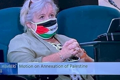 البرلمان الايرلندي يصوت لصالح إدانة الضم الفعلي للأراضي الفلسطينية والتهجير القسري