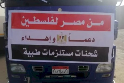 الهلال الأحمر المصري والهجرة الدولية يقدمان 20 طن مساعدات لغزة