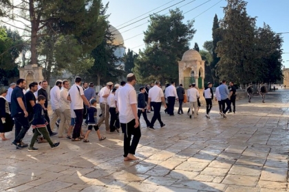 عشرات المستوطنين يقتحمون الأقصى بحراسة مشددة من شرطة الاحتلال