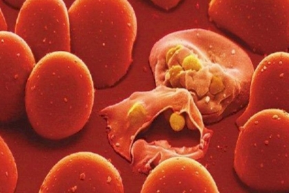 الصحة العالمية تعلن انتصار الصين على الملاريا وخلوها من المرض