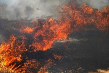 الاحتلال يزعم اندلاع 5 حرائق في "غلاف غزة" بفعل البالونات الحارقة