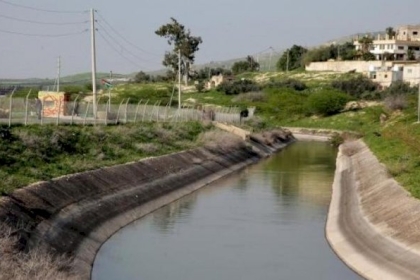 نفوق أعداد كبيرة من الأسماك في سد بالأردن