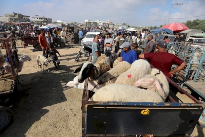 صور: فلسطينيون يشترون الأضاحي قبيل العيد في سوق الحلال في مدينة دير البلح وسط قطاع غزة