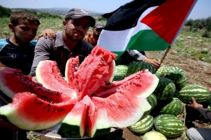 تعرف كيف دخل البطيخ الفلسطيني على خط المواجهة مع الاحتلال