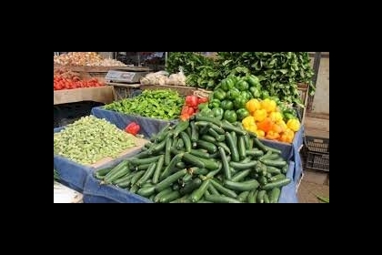 أسعار الخضروات واللحوم في أسواق قطاع غزة اليوم الإثنين
