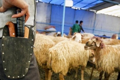 بلدية رفح تصدر إرشادات للمواطنين خلال عيد الأضحى