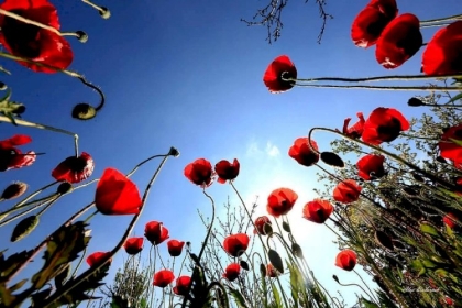 طقس فلسطين اليوم وغدًا: أجواء حارة في معظم المناطق