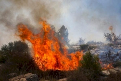 الحرائق تشتعل مجدداً في مدينة القدس وإخلاء مستوطنين
