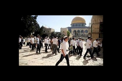 47 مستوطنًا يقتحمون ساحات الأقصى بحراسة مشددة من جيش الاحتلال