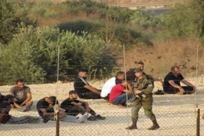 الاحتلال يطارد العمال ويحتجز العشرات منهم غرب فرعون بطولكرم