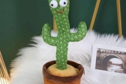 مؤسسة بيت الأمان تحذر من لعبة "الصبارة الراقصة"