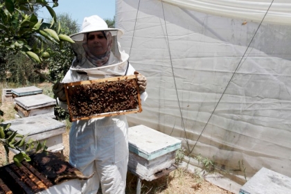 تقرير: غزية تعيد الروح لمنحلة والدها الشهيد وتتحدى الاحتلال