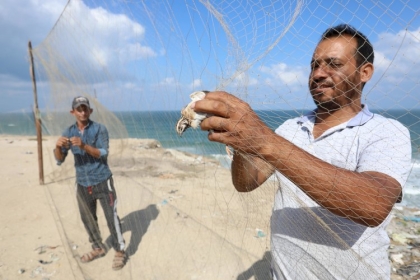 بالصور: صيادو "السمان" بغزة ينتزعون قوت يومهم من بين خيوط شباكهم