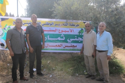 بالصور والفيديو: لمساندة المزراعين.. مجلس العمال بالمحافظة الوسطى ينفذ مبادره تطوعية لجني ثمار الزيتون   