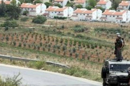 الهيئة الإسلامية العليا تستنكر اعتداءات المستوطنين على المقدسيين