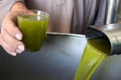 الزراعة بغزة تتحدث عن أسعار زيت الزيتون للموسم الحالي 2022