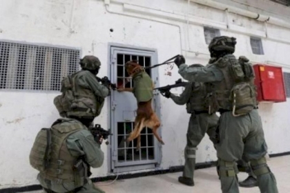 الأسرى يبدأون خطواتهم الاحتجاجية لإجبار الاحتلال على تركيب هاتف عمومي