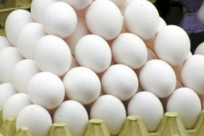 انخفاض على البيض.. أسعار الخضروات والدجاج في غزة اليوم السبت