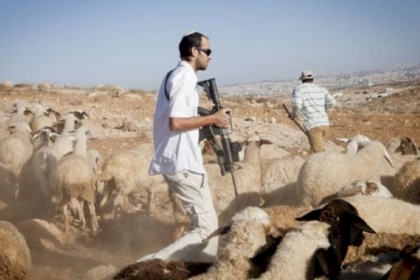 تقرير: المستوطن “اتسخارمان” يبطش  في مسافر يطا ويدعي  ملكية الأراضي