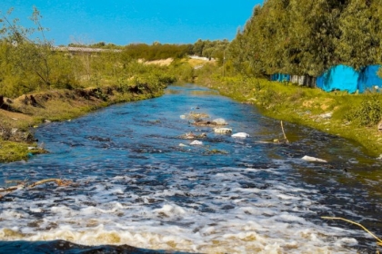 على مدار الـ 10 سنوات القادمة.. جهود "أُممية" لاسترجاع وادي غزة كـ "محمية طبيعية"