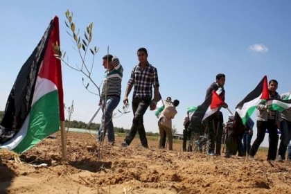 في يوم الأرض.. لجان الحراسة مهمة لتعزيز صمود المواطنين