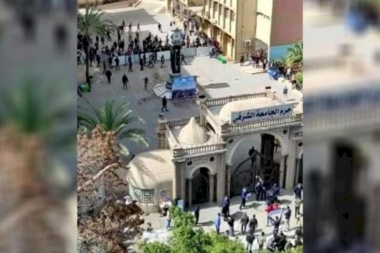 بالارقام: احصائية رسمية صادمة بشأن معدل البطالة في اوساط الخريجين