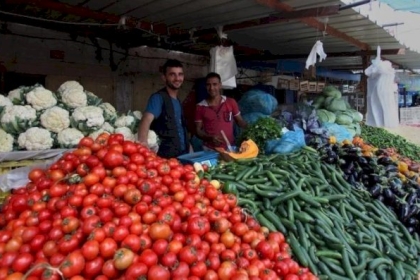 القائمة المحدثة لأسعار الخضروات والدجاج في أسواق غزة