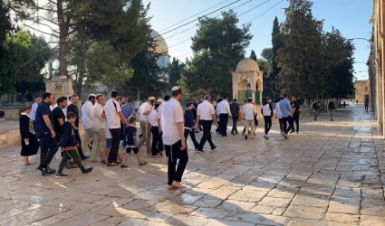 عشرات المستوطنين يقتحمون الأقصى ويؤدون طقوسًا تلمودية