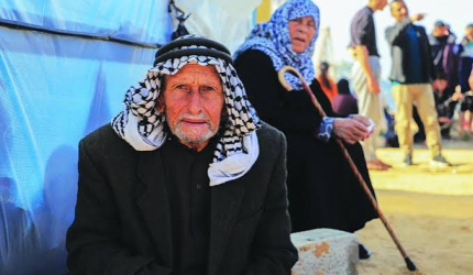 في اليوم العالمي لكبار السن.. الإحصاء الفلسطيني يستعرض واقع 347 ألف مسن ومسنة