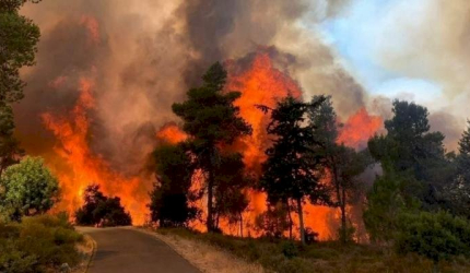 دراسة مقلقة.. الطبيعة تتحول إلى عدو في معركة المناخ