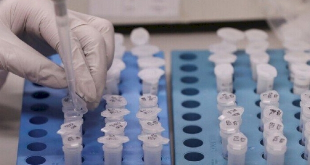 لقاح فايروس كورونا