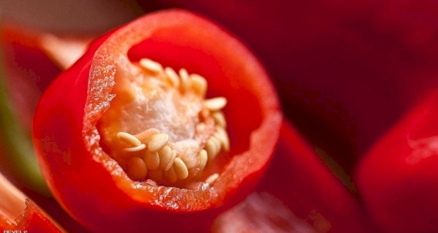 الفل الأحمر له فوائد عدة على القلق والمعدة.