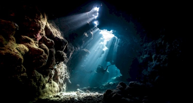 مخلوقات غريبة