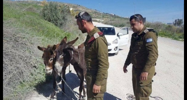 صورة تعبيرية 