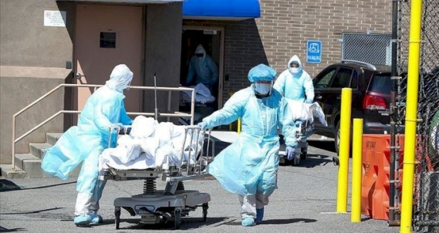 كورونا حول العالم