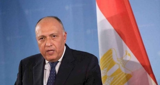 وزير الخارجية سامح شكرى