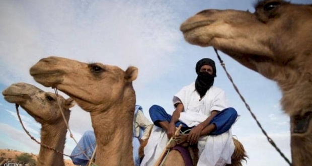 حمى الوادي المتصدع مرض يصيب الحيوانات ينتقل للبشر