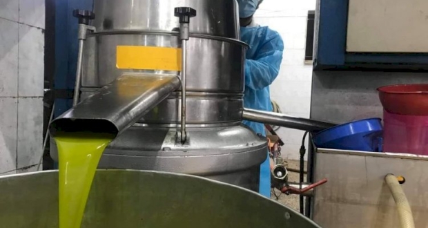 معاصر زيت زيتون