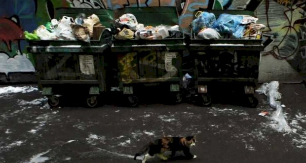 صندوق قمامة